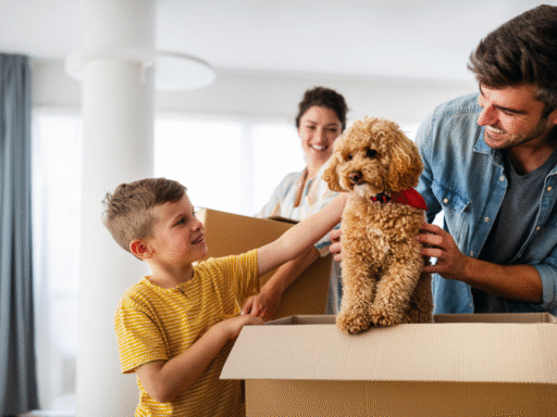 moving pets safely in India