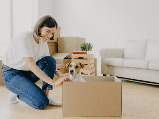 pet relocation across borders