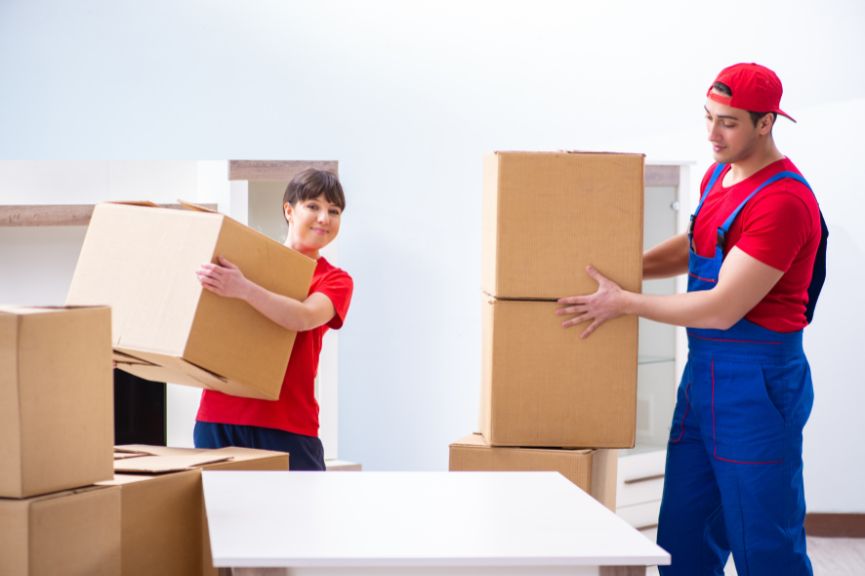 packers and movers theft
